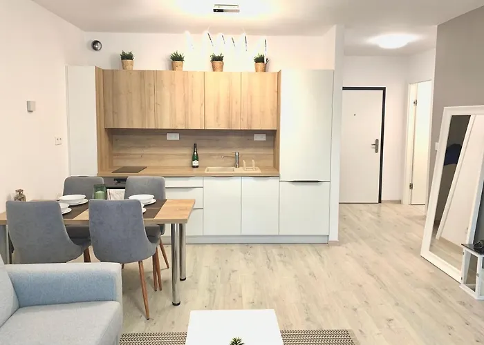 Elegant, Bright Spacious Apartment In Bratislava Center
